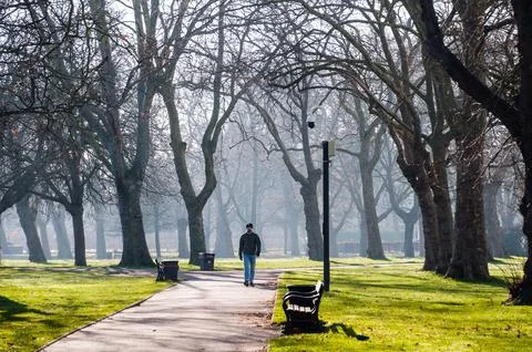 Man walking in the park in winter Stock Photos