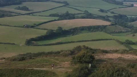 A man is walking on a path in a field Stock Footage 297950904