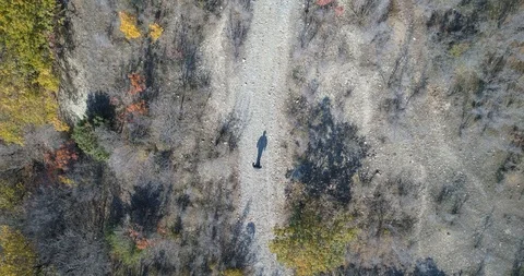 Man is Walking on The Path Stock Footage 98000688