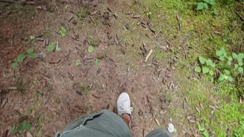 Man walking on a path in the forest Vidéo 315359437
