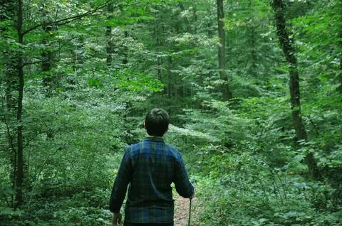 A man walking on the path in forest Stock Photos