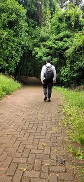 Man walking on path in forest Stock Photos