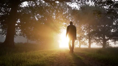 Man is walking on a path in a forest towards the rising sun Stockbeeldmateriaal 292528802