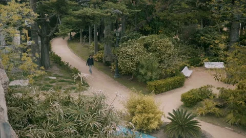 Man walking on a path in the park Video stock 131250011