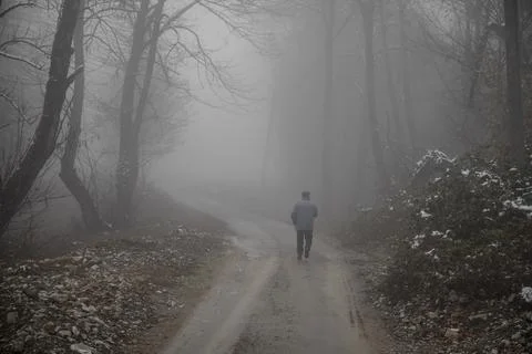 Man walking on a path in a strange dark forest with fog Stock Photos