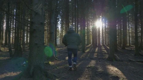 Man walking on a path throug a spruce forest Stock Footage 82319967