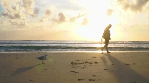 Man Walking Picking Seashells on Gold Coast Beach at Sunrise, Australia Stock Footage 172280599