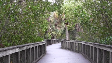 Man walking on platform Stock Footage 88868945