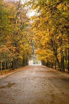 Man walking in the rain Foto stock