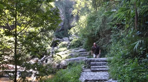 Man walking in rainforest Stock Footage 43799569