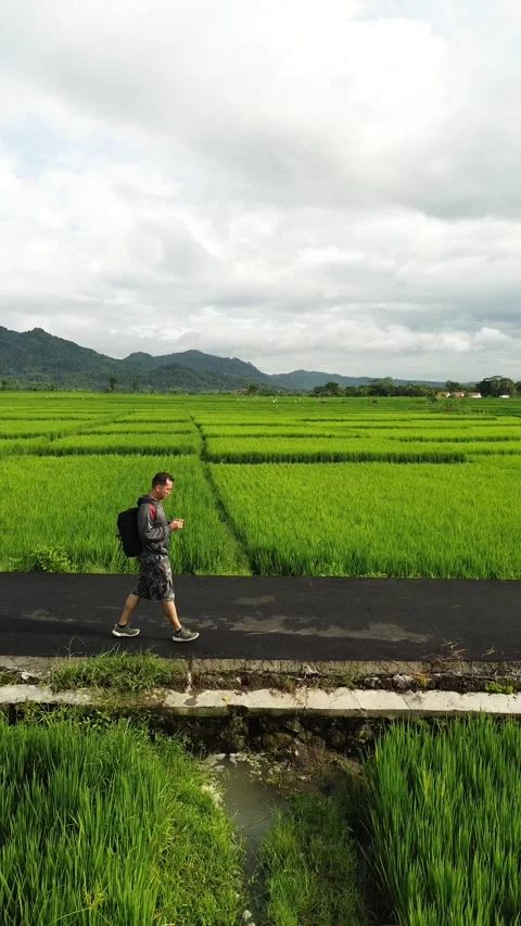Man walking on a road Stock Footage 327062445