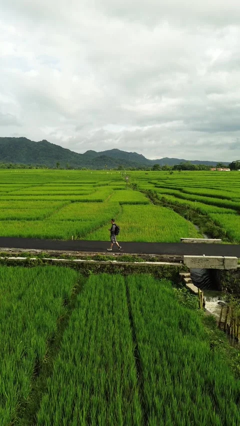 Man walking on a road Stock Footage 327105744