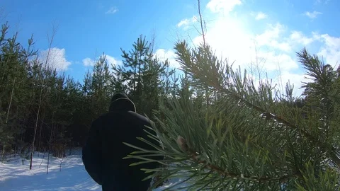 Man walking on the road to the forest in winter on a sunny day Video stock 87266935