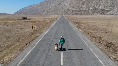 Man walking on the road with his dog in the mountain, in winter landscape. Ae Stock Footage 105404341