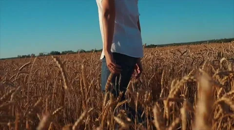 Man walking in a rye field. Stock-Footage 65727119