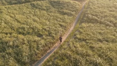 Man Walking on Sand Trail Through Grass Stock Footage 105325863