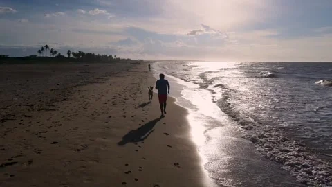 Man walking on a sandy beach at sunset Stock Footage 330668478