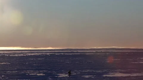 Man Walking Sea Ice 動画素材 10713395