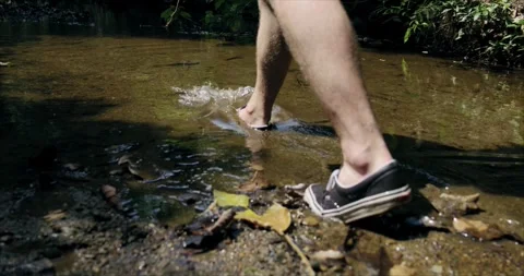 Man Walking in Shallow Muddy River Stock Footage 314693895