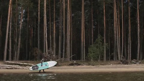 Man walking on shore with stand up paddle board along pine forest. SUP Stock Footage 244605056
