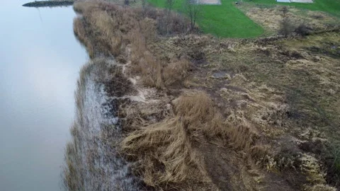 Man walking on the side off the river Lek - The Netherlands Stock Footage 169755386