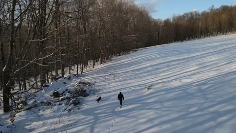 Man walking in snow covered field along with a black dog running through Stock Footage 265084473