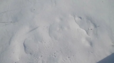 Man walking on the snow Stock Footage 35151409