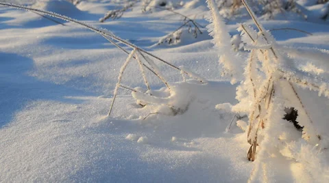 Man walking on snow Stock Footage 59096434