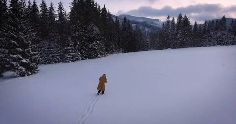 A Man walking in the snow Vidéo 83249289