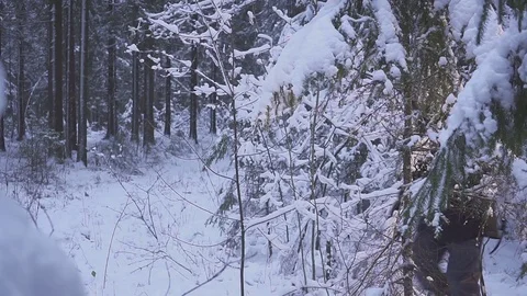 Man Walking Snow Winter Forest Traveler With Backpack. winter sunny morning Видео 83712535