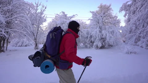 Man Walking in Snowy Forest Stock Footage 315883308