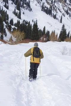 Man walking in snowy mountain forest landscape in winter.  Kazakhstan Stock Photos
