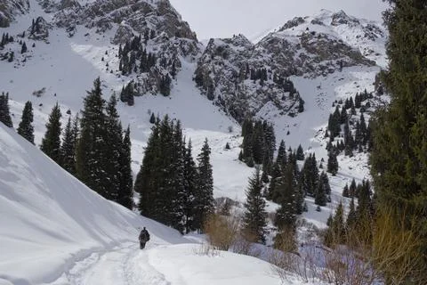 Man walking in snowy mountain forest landscape in winter Stock Photos