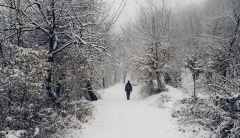 Man walking on snowy path in winter forest scenery Stock Photos
