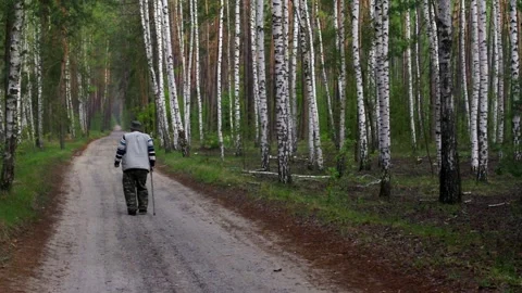 Man with walking stick has morning practice on a country road in birch forest 스톡 동영상 149653735