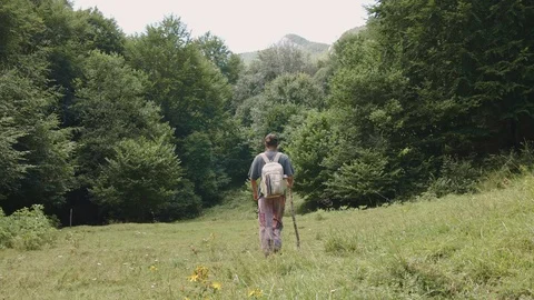 Man with a walking stick walking away on a meadow into a forest Stock Footage 121807494