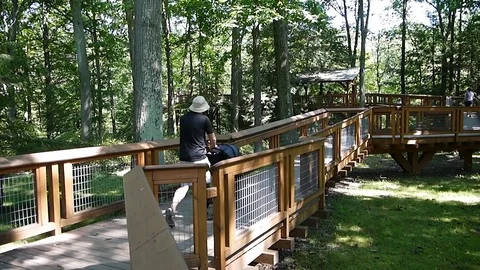 Man walking with stroller up the bridge to canopy walk at Holden Arboretum Stock Footage 78248157