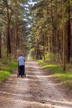 Man Walking with Stroller in Forest Stock Photos