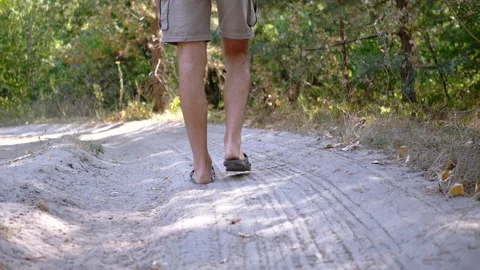 Man Walking in Summer Forest Video stock 293265795