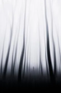 Man walking in surreal forest, creative fantasy scenery Stock Photos