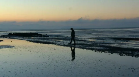 Man walking on swamp2 Stock Footage 844858