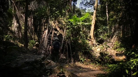 Man walking in Thai Forest Vidéo 104125906