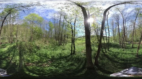 Man walking through alluvial forest, VR360, VR, 360VR Stock Footage 107376525