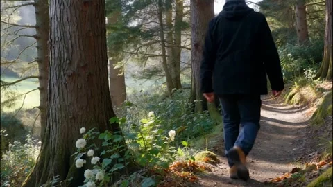 A man walking through alone to a peaceful forest trail Stock Footage 313021598