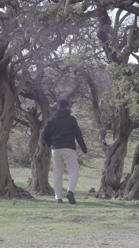 Man Walking Through Ancient Argan Tree Forest Ait Isafn Mountains Morocco 動画素材 332771952