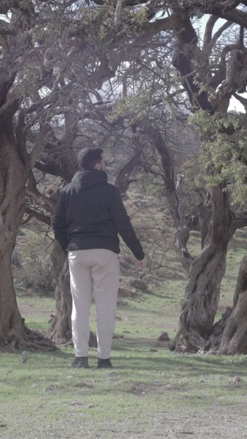 Man Walking Through Ancient Argan Tree Forest Ait Isafn Mountains Morocco 動画素材 332772063