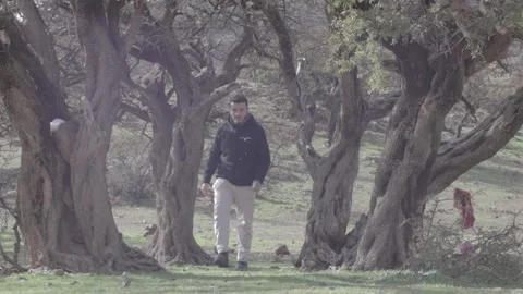 Man Walking Through Ancient Argan Tree Forest Ait Isafn Mountains Morocco Stock-Footage 332776621
