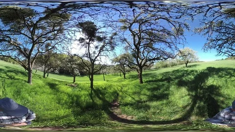 Man walking through apple plantation, VR360, VR, 360VR Stock Footage 107374801