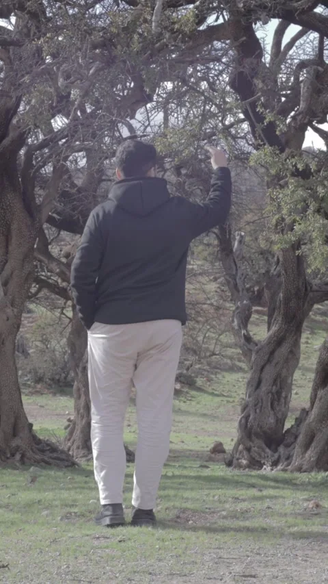 Man Walking Through Argan Trees, Ait Issafen, Morocco Vídeo Stock 332771775