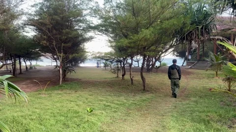 Man Walking Through Beachside Park Surrounded by Tropical Trees 库存影片 335712769
